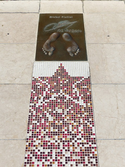 目走向大众